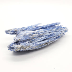 Rough Blue Kyanite